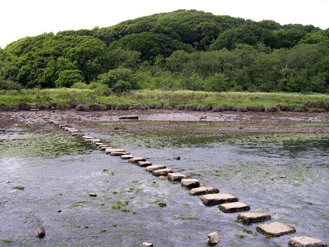 Stepping stones over Cresswell River