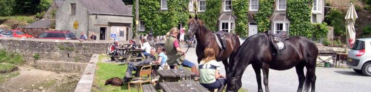 Quay and beer garden at Cresswell Quay Walkers,mountain bikes and the horse fraternity all enjoy real ale from the jug at Cressely Arms.