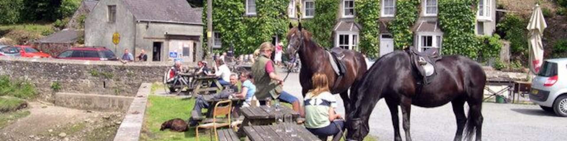 Quay and beer garden at Cresswell Quay Walkers,mountain bikes and the horse fraternity all enjoy real ale from the jug at Cressely Arms.
