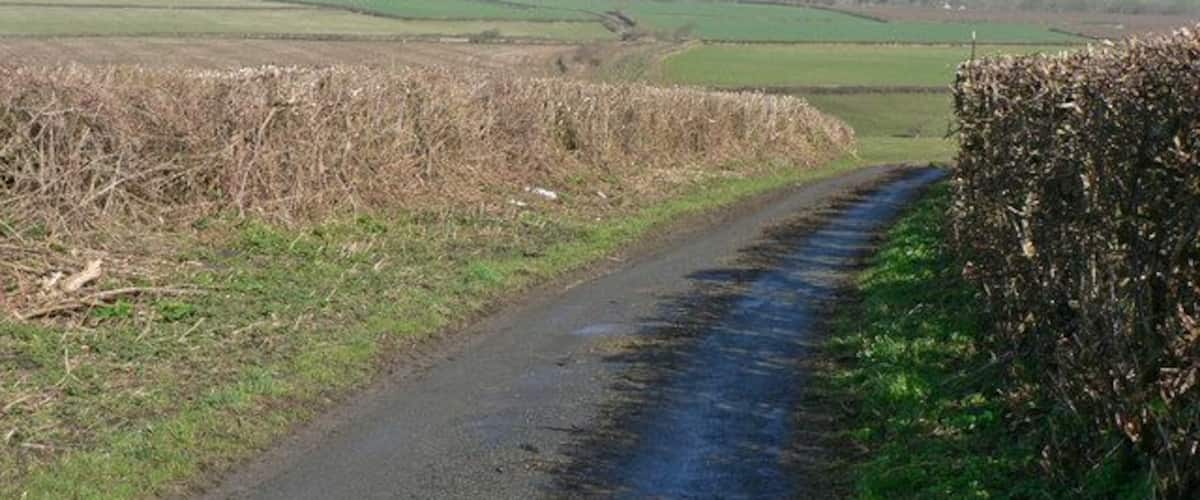 A narrow rural road with a stream running alongside it, surrounded by fields and hedgerows.
