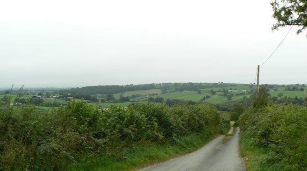South of Ffinnant Isaf Minor road passing south of Ffinnant Isaf looking towards Llanwyddelan.