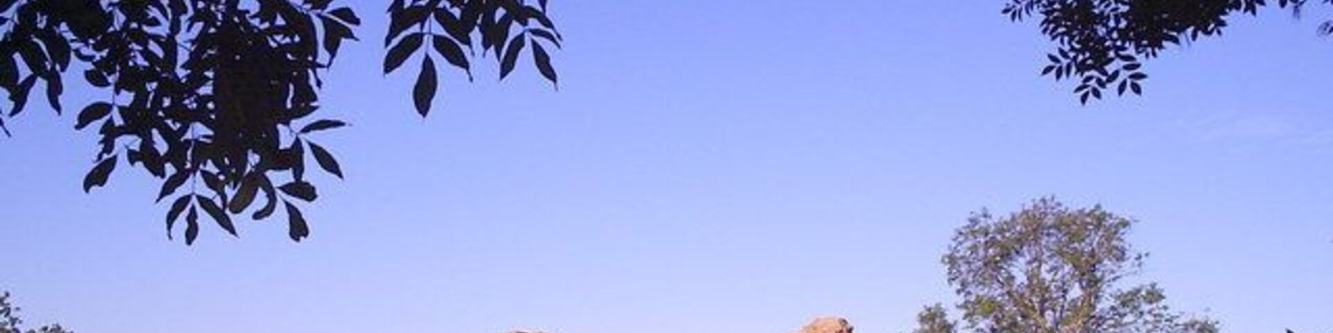 Una colina rocosa con cielo despejado y algunos árboles.