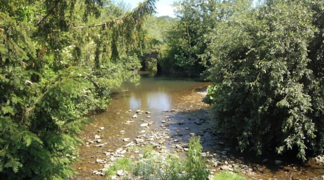 River Mule at Abermule
