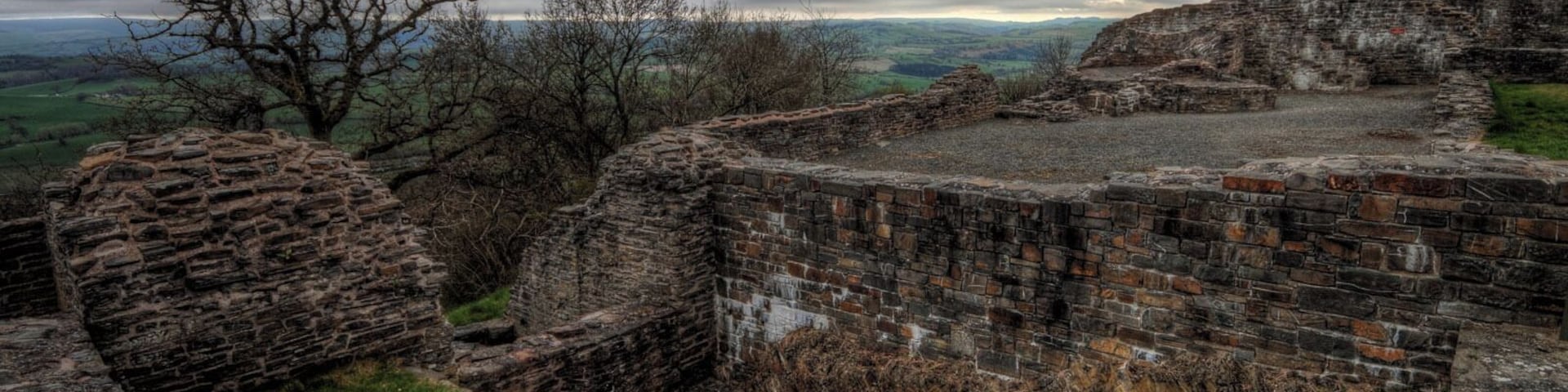 Dolforwyn Castle IMG_0573