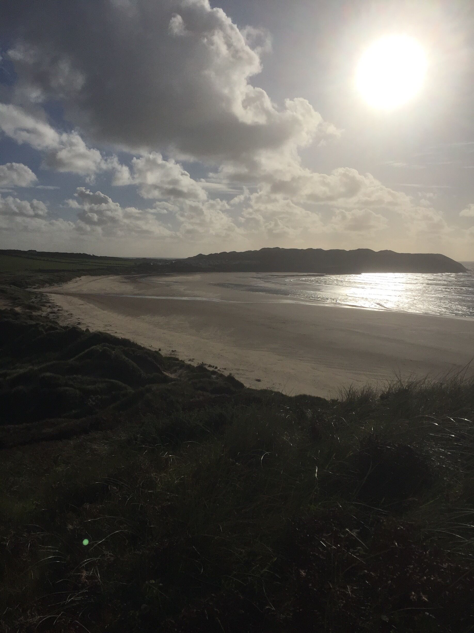 A beach with a sandy shore and grassy dunes.
