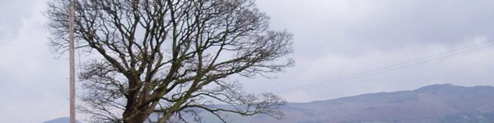 Plas yr Esgob. White-painted 18th century farmhouse in the Vale of Clwyd.