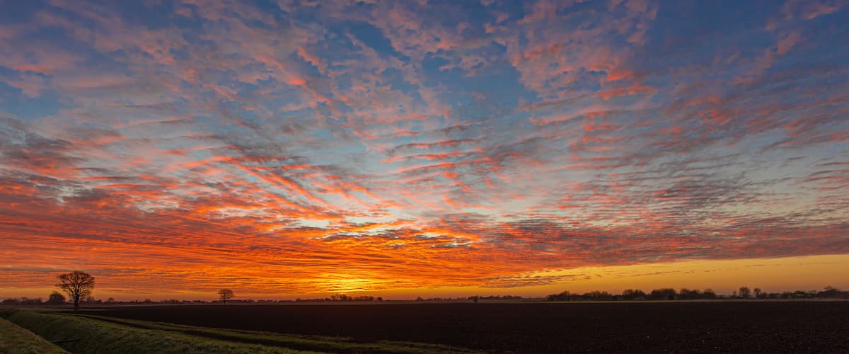 Atardecer sobre un paisaje rural con un campo y un árbol solitario.