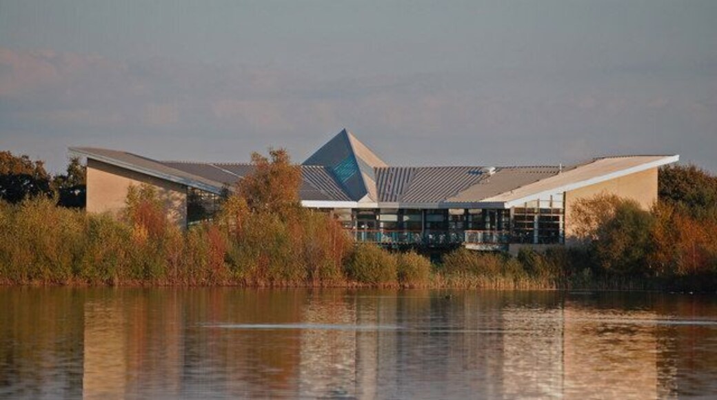 The Natural World Centre in Whisby Nature Park.