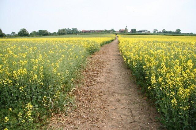 Uphill to Thorpe on the Hill Footpath from Eagle Lane to Home Farm up the gentle slope that makes Thorpe 'on the hill'