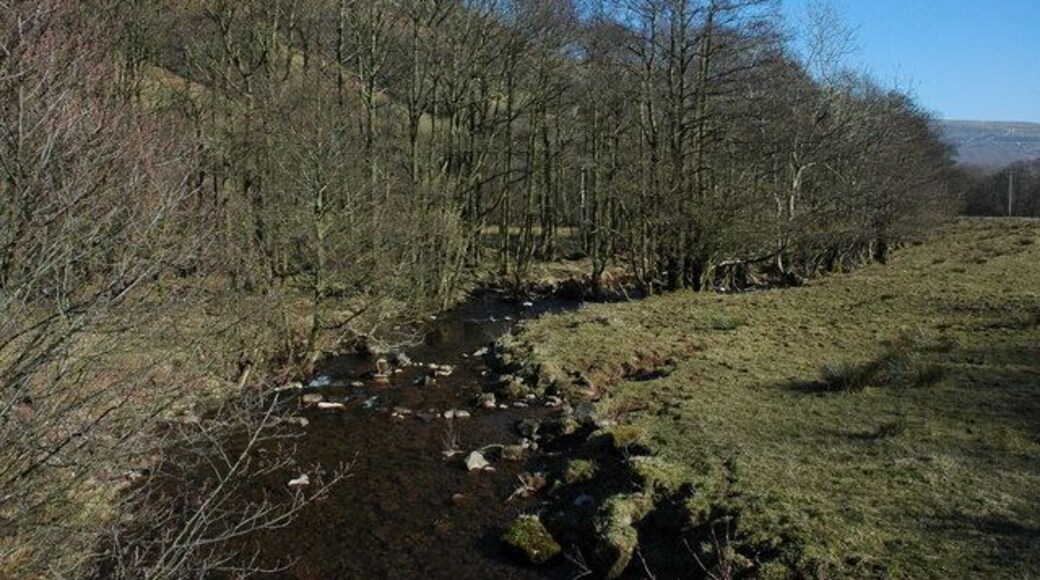 Nant Bwch Nant Bwch in Capel-y-Ffin viewed from the road bridge.
