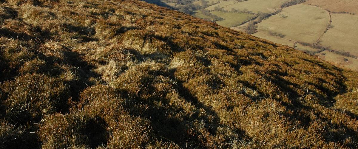 A hilly landscape with a valley and distant hills.