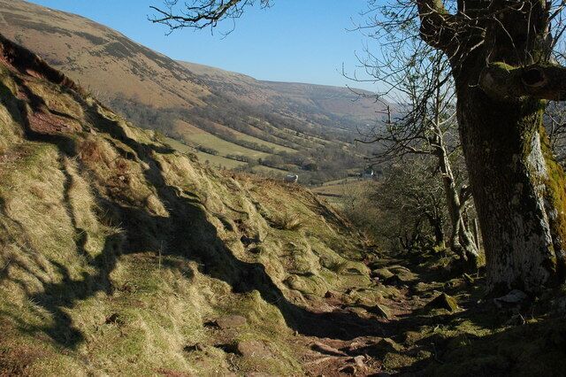 A valley with a steep hillside, a large tree, and a distant view of the landscape.