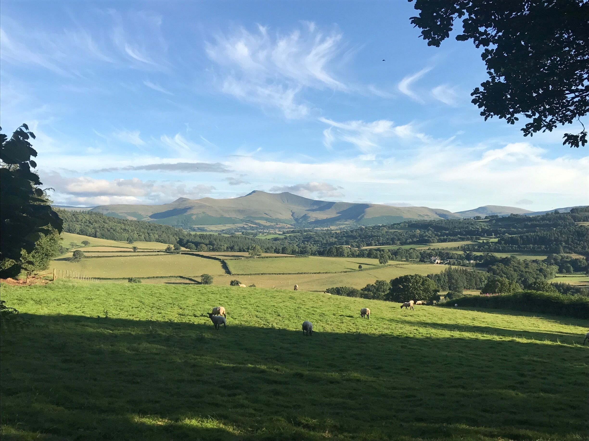 A rural landscape with rolling hills, scattered trees, and a distant mountain range under a partly cloudy sky.