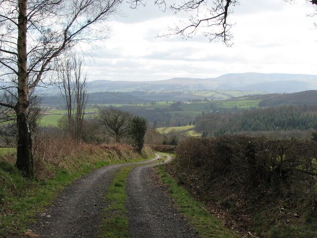 Track above Sarnau Walking down from Cefn Sarnau.