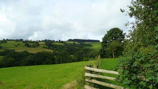 Pasture land south-west of Coedmawr. The wood in the distance is at Cefn Sarnau on Battle Hill. In between is Nant y Groes dingle.