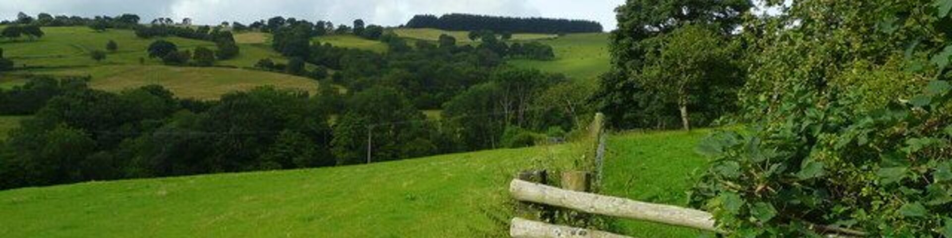 Pasture land south-west of Coedmawr. The wood in the distance is at Cefn Sarnau on Battle Hill. In between is Nant y Groes dingle.