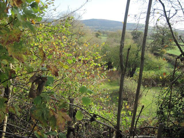Fields looking towards The Moat Farm