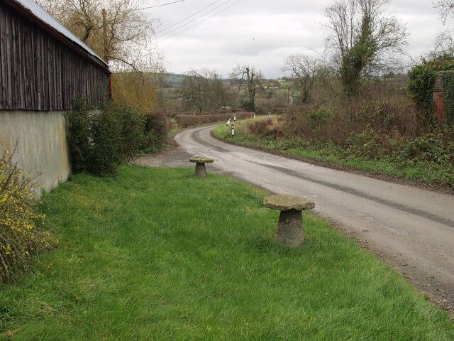 Staddle stones at Trehelig Farm I have always called them barn stones, but their correct name is staddle stones. They were used to raise wooden buildings above wet ground, or to protect corn and animal feeds in the building from attack by rodents as they could not manage to climb around the flat stone. I have also heard of wooden frames set on barn stones with sheaves of cereal stacked on top. Again to protect from damp and rodents. In this after life they are used to keep vehicles off the grass!
