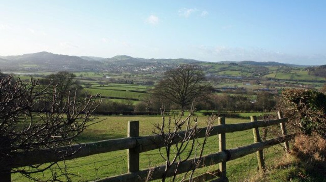 On The Horizon View of Welshpool from minor road beneath Oak Plantation.