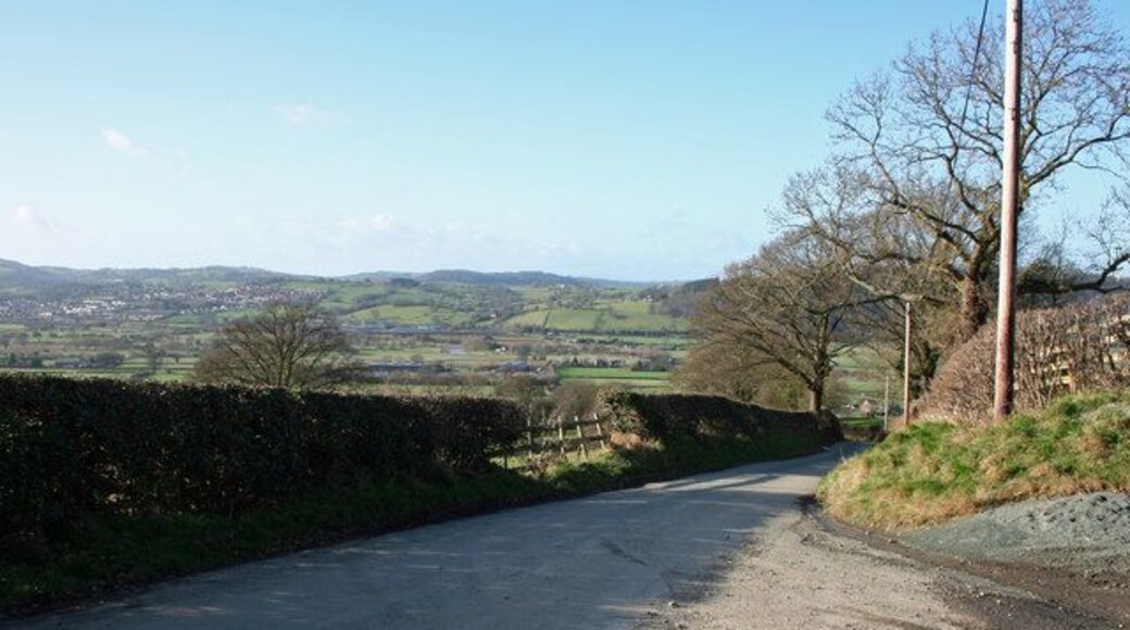 The Road Down To Buttington Road going downhill towards Buttington at junction with farm track to Cletterwood.