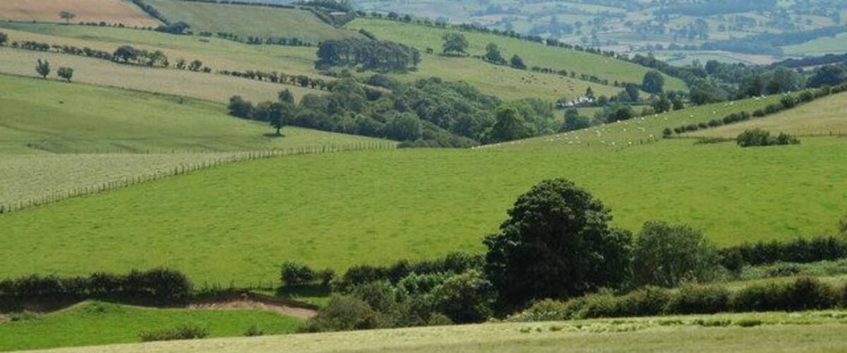 Looking into England The Stipperstones are in the middle distance & the Long Mynd dominates the horizon.