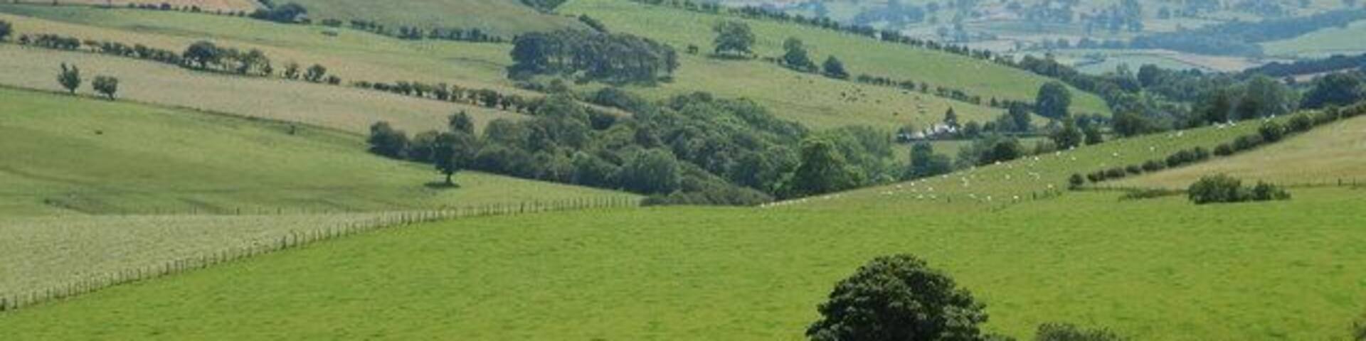 Looking into England The Stipperstones are in the middle distance & the Long Mynd dominates the horizon.