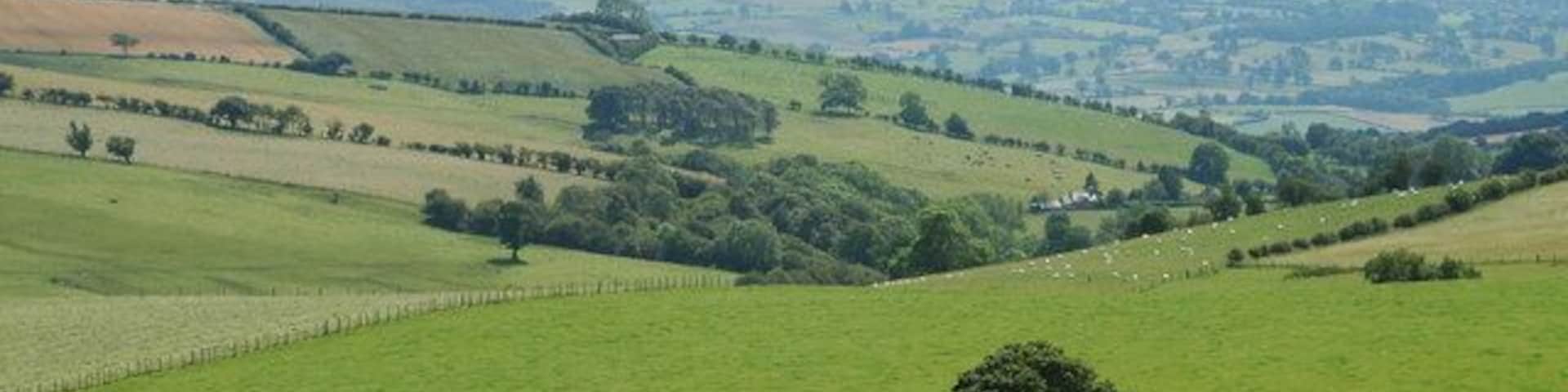 Looking into England The Stipperstones are in the middle distance & the Long Mynd dominates the horizon.