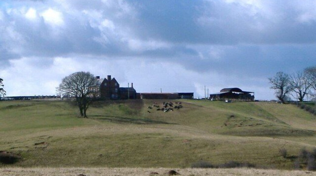 Wych Brook Valley. View across the valley of Wych Brook on bearing of 255 deg from Wigland footpath 8, just south of its junction with footpath 5. The foreground is in England (and SJ 4943), beyond the valley is Wales (and SJ 4843) with Pen-y-Bryn Farm on the skyline. Wych Brook itself - invisible in its deep valley in midfield - only the tree tops showing - forms the border between Cheshire and Wales. This undulating terrain is mostly sheep farming country.