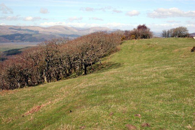 Grassland above Taliesin A narrow shelf of pastureland above the steep wooded hillside behind the village of Taliesin.
