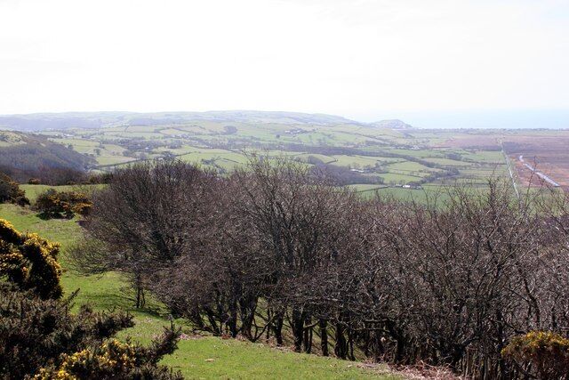 Taliesin woodland Taken from the ledge across the wooded hillside above Taliesin village with panoramic views of Cors Fochno .