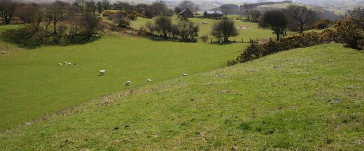 Erglodd A view from the hillside above Coed Erglodd which straddles four grid squares!