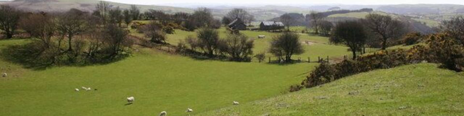 Erglodd A view from the hillside above Coed Erglodd which straddles four grid squares!