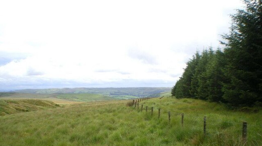 Boncyn Dolwen forest edge The fenced-off edge of the forest block in SH9508.