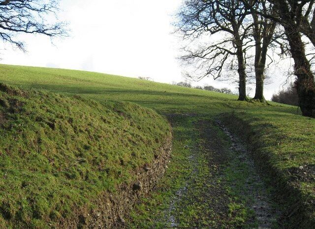 Field Access A sunken track to pasture beside the A458.