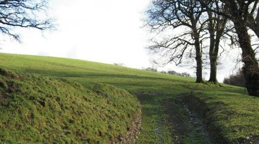 Field Access A sunken track to pasture beside the A458.