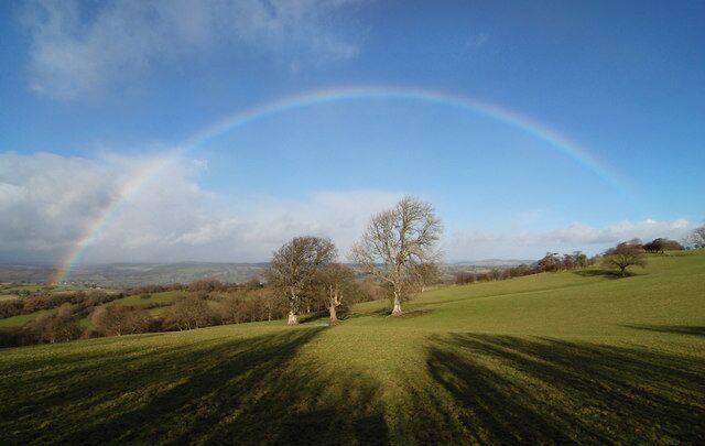 A grassy field with a rainbow, trees, and a distant landscape.