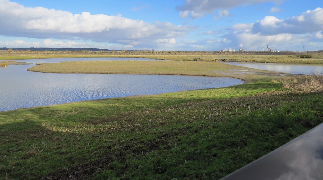 Gwarchodfa Natur Deeside Naturalists