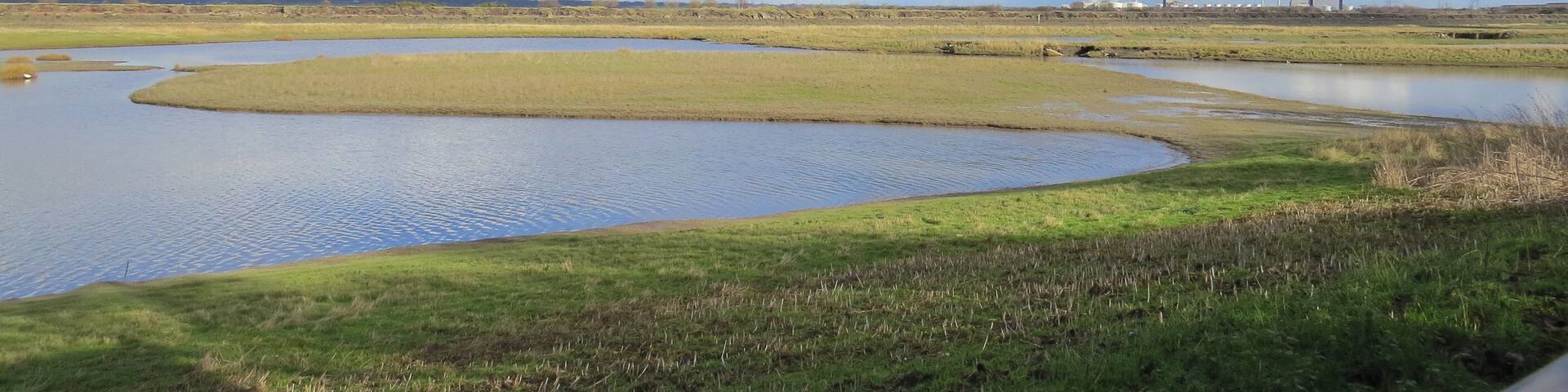 Gwarchodfa Natur Deeside Naturalists