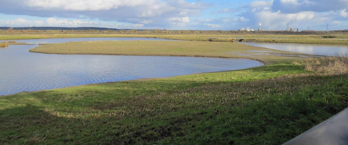 A landscape with a large body of water, grassy areas, and industrial structures in the distance.