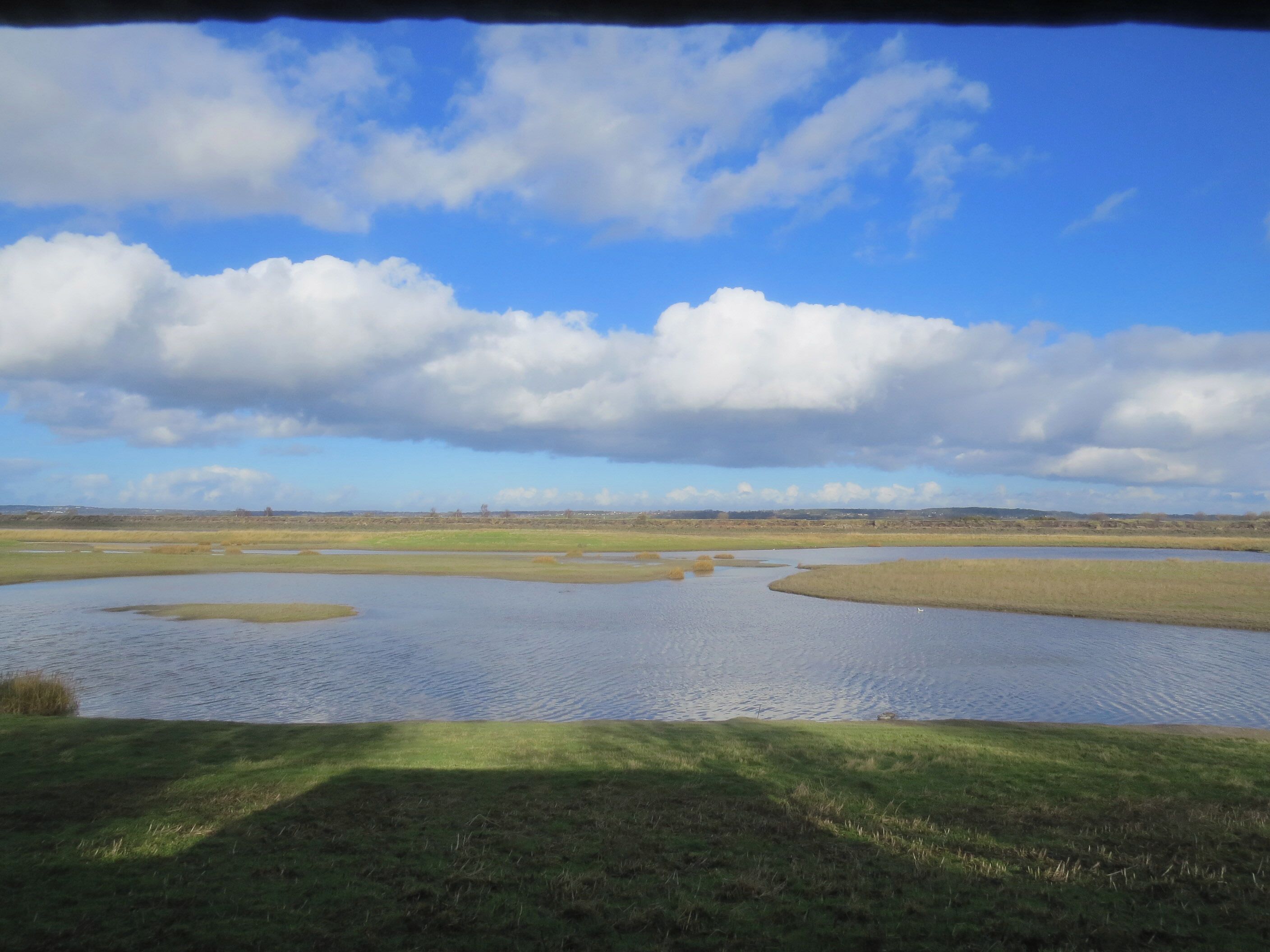 Gwarchodfa Natur Deeside Naturalists