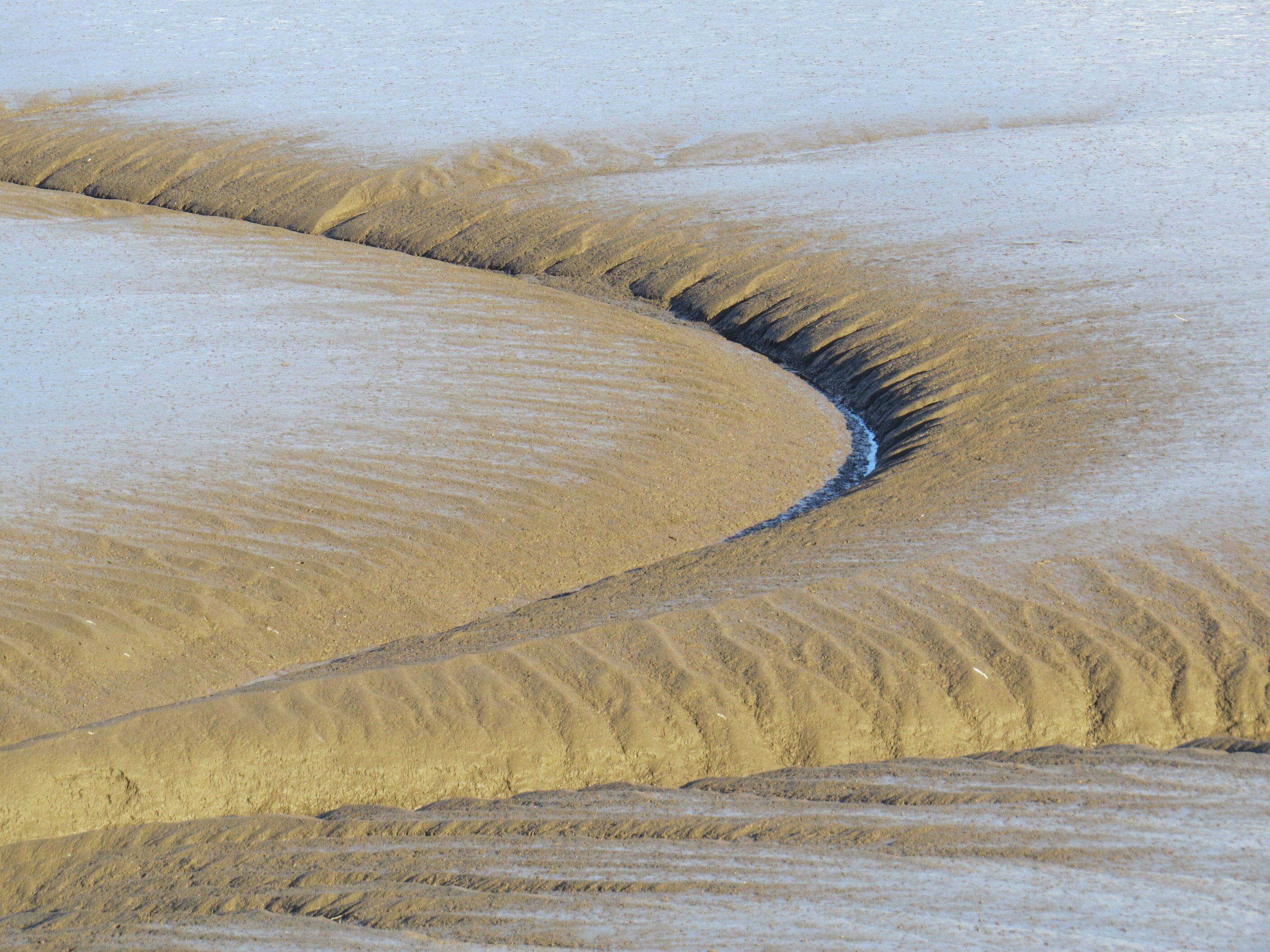 Gwarchodfa Natur Deeside Naturalists - treathell laid ar Afon Dyfrdwy