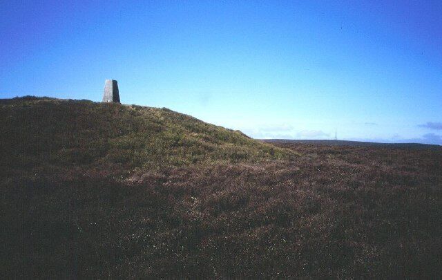 Bache hill. The summit of Bache hill is overtopped by this tumulus that also carries the height of the hill over 2000'. There a numerous burial mounds in Mid Wales, and this is a rather fine example. Lovely heather moor as well.