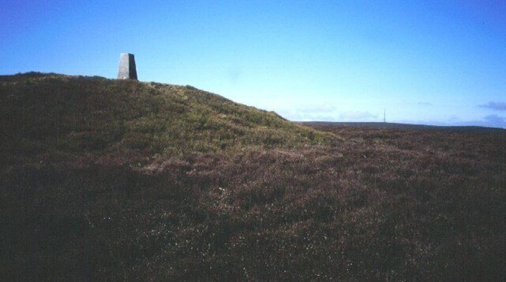 Bache hill. The summit of Bache hill is overtopped by this tumulus that also carries the height of the hill over 2000'. There a numerous burial mounds in Mid Wales, and this is a rather fine example. Lovely heather moor as well.