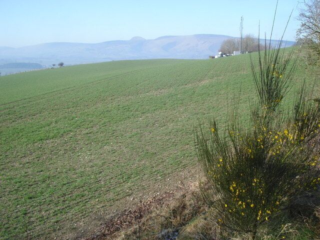 Farmland above Evenjobb From Offa's Dyke Path looking westwards. On the horizon to the left of the telecommunications mast is Bache Hill and the dome of Whimble, part of the Radnor Forest.