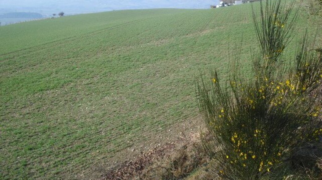 Farmland above Evenjobb From Offa's Dyke Path looking westwards. On the horizon to the left of the telecommunications mast is Bache Hill and the dome of Whimble, part of the Radnor Forest.