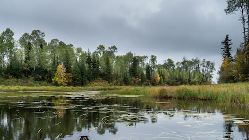 Canoeing a reed filled river in northern Saskatchewan on a calm, cloudy day.