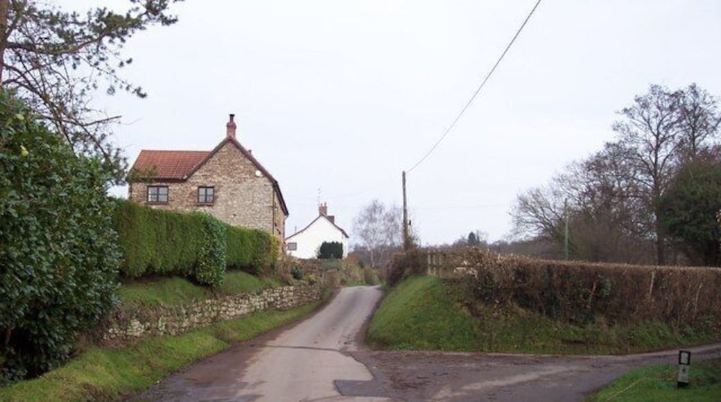 Country lane and cottages