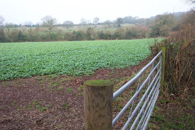 A rural landscape with a metal fence, a wooden post, and a field of crops.