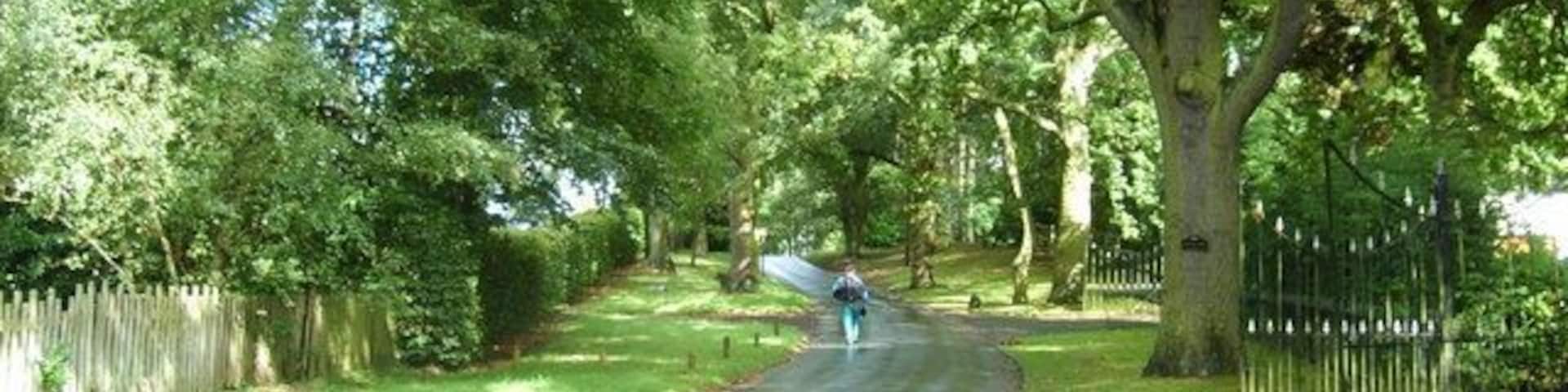 Newwood Lane The Lane near Blakedown.