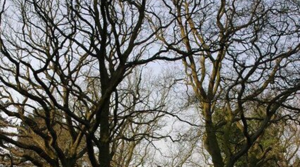 Sandy Lane, Blakedown Along Sandy Lane are a number of very attractive properties.